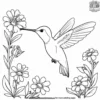 Hummingbird in A Garden Coloring Pages