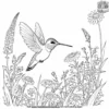 Hummingbird in Nature Coloring Pages