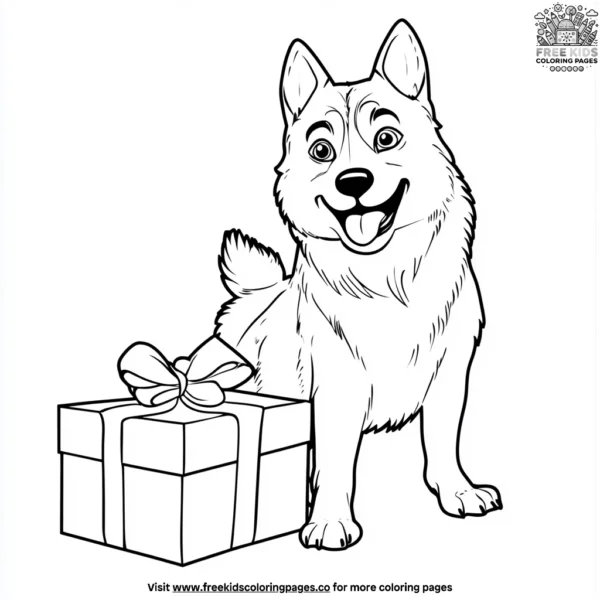 Husky and gift box coloring pages