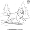 Husky and a Snowboard Coloring Pages