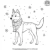 Husky in a Scarf Coloring Pages