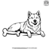 Husky with a Bone Coloring Pages