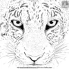 Jaguar Eyes Close Up Coloring Pages