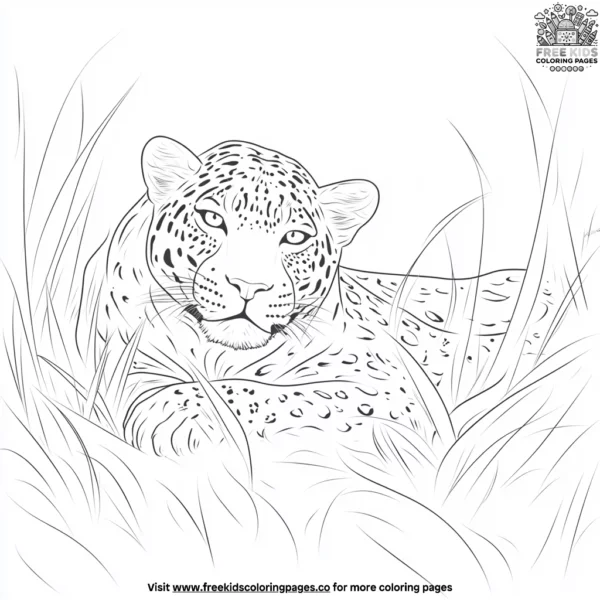 Jaguar lying in grass coloring pages