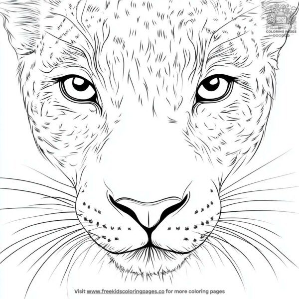 Jaguar nose and whiskers coloring pages