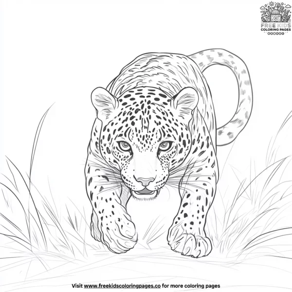 Jaguar playful stance coloring pages