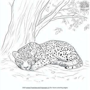 Jaguar sleeping in the shade coloring pages