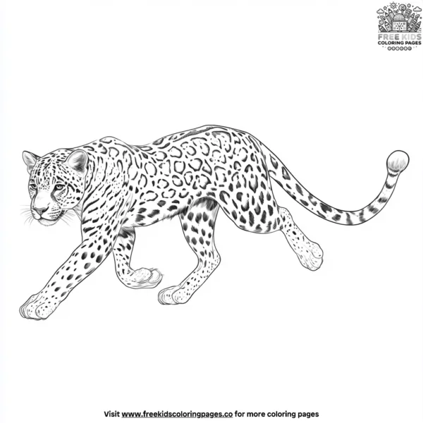 Jaguar tail swish coloring pages