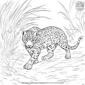 Jaguar in the wild coloring pages