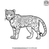 Jaguar with Spots Coloring Pages