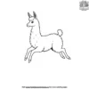 Jumping Llama Coloring Pages