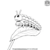 LEGO Caterpillar Coloring Pages