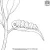 Leaf Eating Caterpillar Coloring Pages