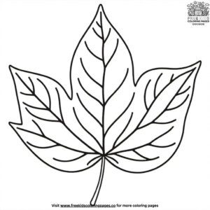 Leaf Outline Coloring Pages