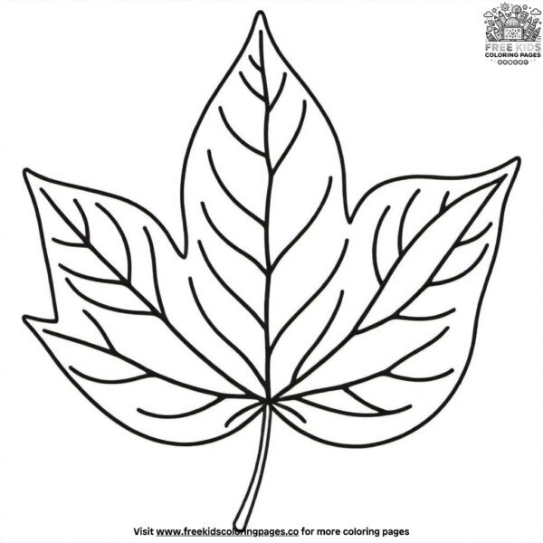 Leaf outline coloring pages