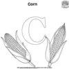 Letter C With Corn Coloring Pages