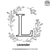 Letter L With Lavender Coloring Pages