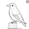 Little Bird Coloring Pages