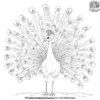 Majestic Peacock Coloring Pages