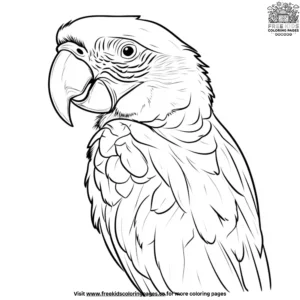 Mexico Birds Coloring Pages