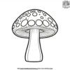 Mushroom Outline Coloring Pages