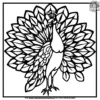 Peacock Stained Glass Coloring Pages