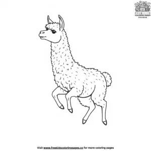 Playful Llama Coloring Pages