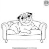 Pug on a Sofa Coloring Pages