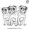 Pug with Friends Coloring Pages