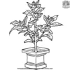 Sacred Tulsi Plant Coloring Pages