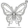 Simple Butterfly Coloring Pages