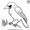 Sinister Crow Coloring Pages