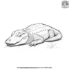 Sleeping Alligator Coloring Pages