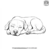 Sleepy Dog Coloring Pages