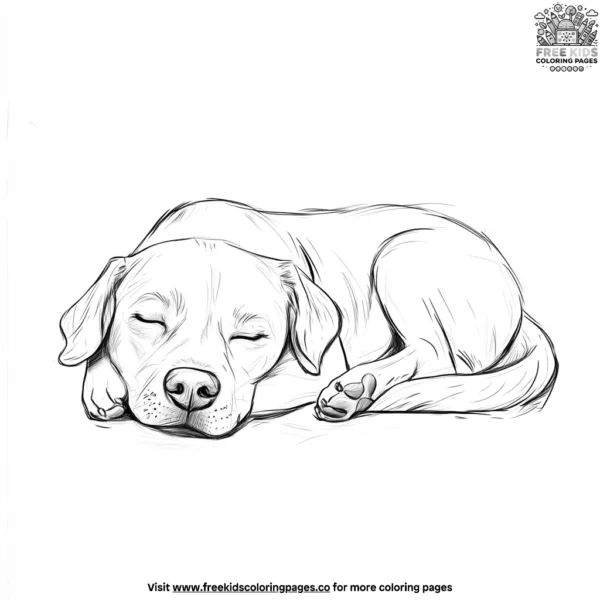 Sleepy dog coloring pages