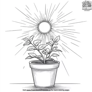 Sun and Flower Pot Coloring Pages