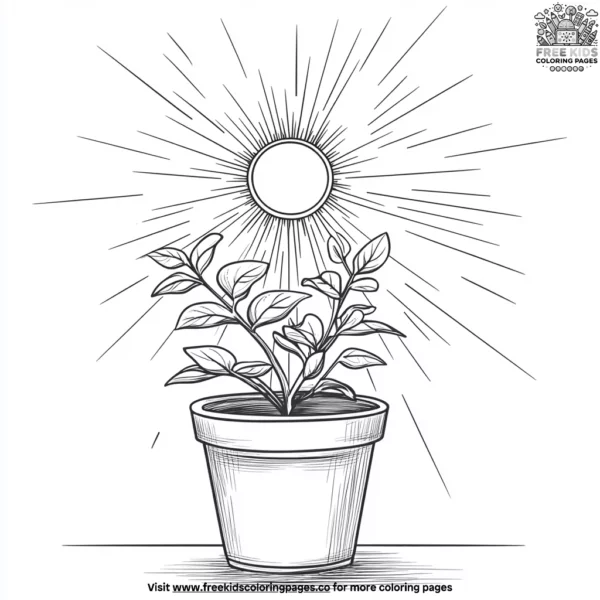 Sun and flower pot coloring pages