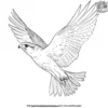 Swift Falcon Coloring Pages