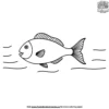 Swimming Fish Coloring Pages