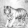 Tiger Spirit Coloring Pages