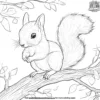 Tiny Squirrel Coloring Pages