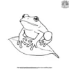 Toad on a Leaf Coloring Pages