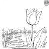 Tulip Near a Pond Coloring Pages