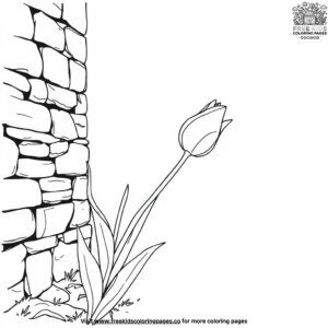 Tulip Next to a Stone Wall Coloring Pages