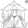 Tulip in a Greenhouse Coloring Pages