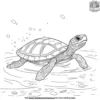 Turtle Pool Coloring Pages