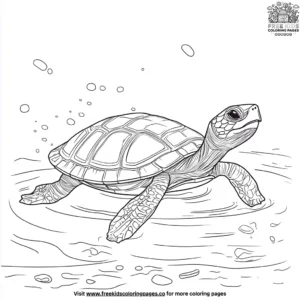 Turtle Pool Coloring Pages