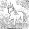 Unicorn In A Meadow Coloring Pages