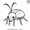 Weevil Coloring Pages