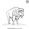 Wild Bison Coloring Pages